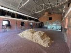Vielseitige Gewerbeimmobilie | Wohnhaus mit großem Reitstall und Reitplatz | vielfältige Nutzungsmöglichkeiten - IMG_0749.JPG